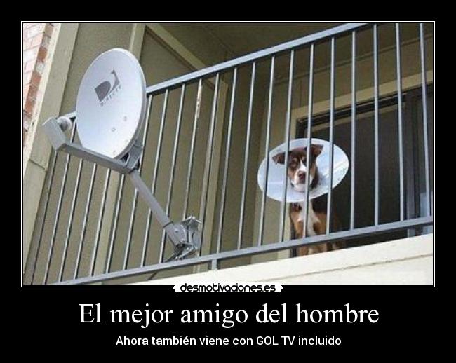 El mejor amigo del hombre -