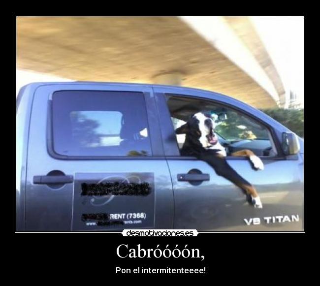 Cabróóóón, - 