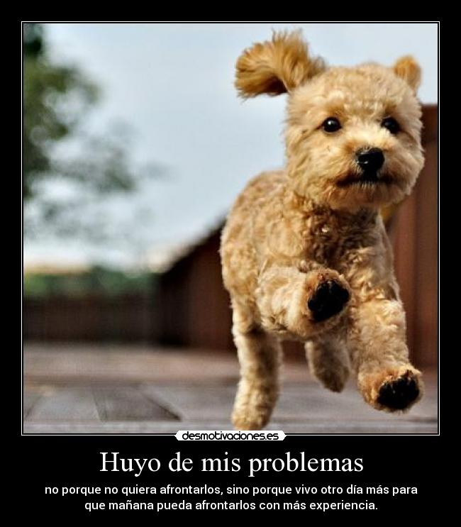 Huyo de mis problemas -