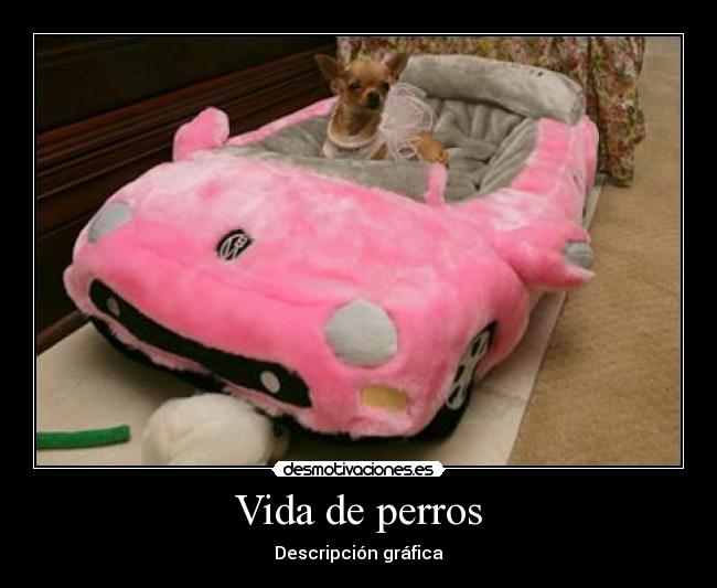 Vida de perros -