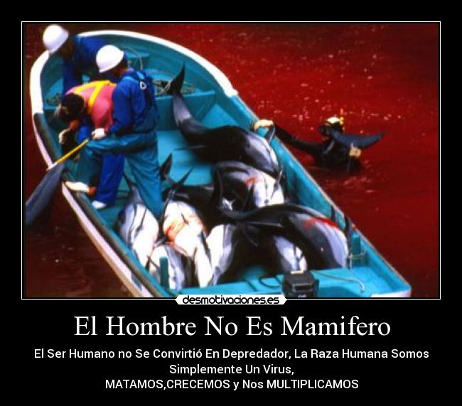 El Hombre No Es Mamifero - El Ser Humano no Se Convirtió En Depredador, La Raza Humana Somos
Simplemente Un Virus,
MATAMOS,CRECEMOS y Nos MULTIPLICAMOS