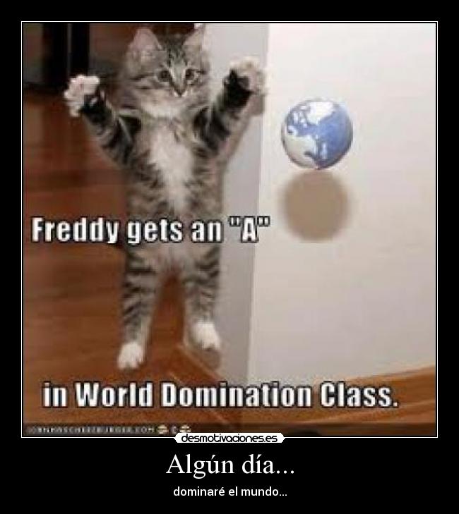 carteles gatosalgun dia dominare mundo desmotivaciones