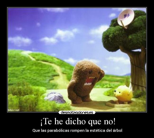 ¡Te he dicho que no! - 