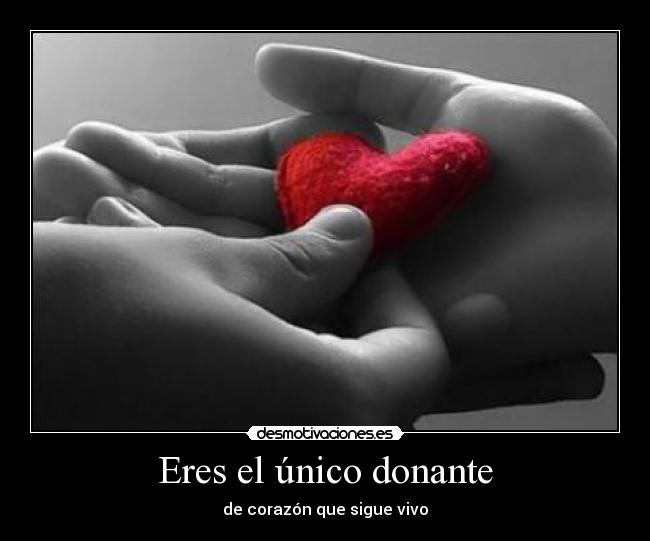 Eres el único donante -