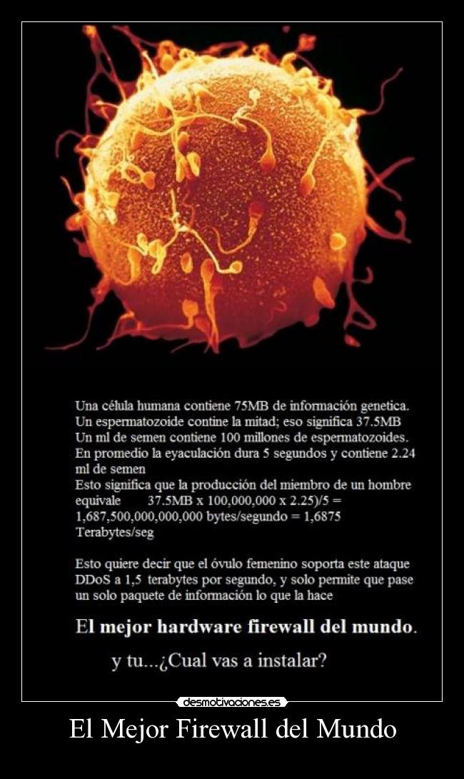 El Mejor Firewall del Mundo -