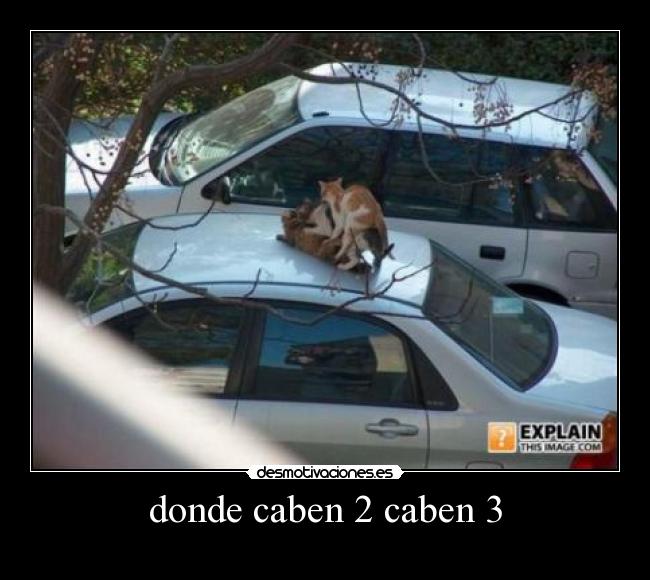 donde caben 2 caben 3 - 