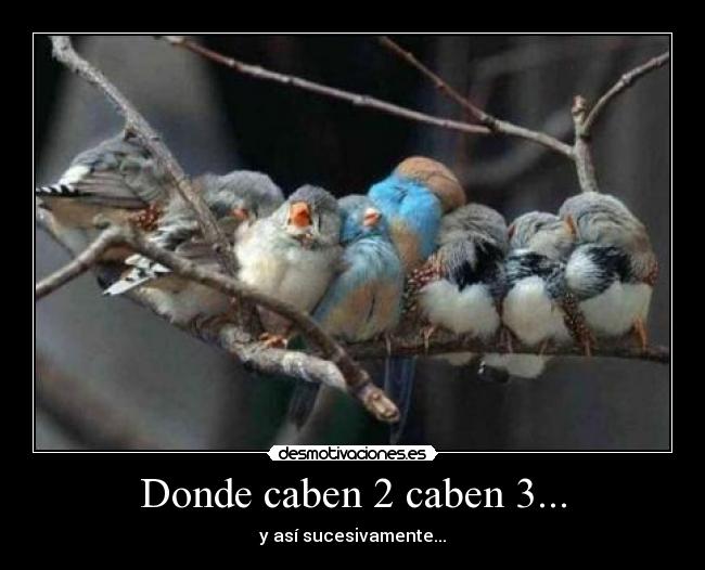 Donde caben 2 caben 3... - y así sucesivamente...