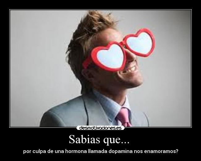 Sabias que... - por culpa de una hormona llamada dopamina nos enamoramos?