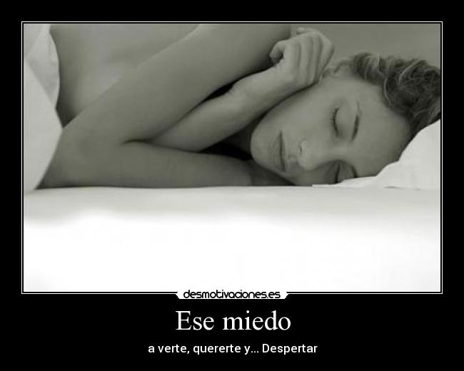 carteles miedo miedo verte quererte despertar desmotivaciones