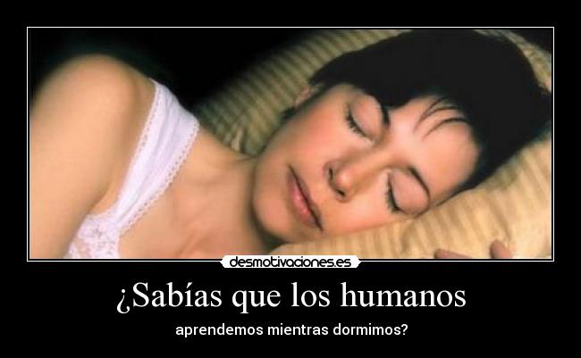 ¿Sabías que los humanos -
