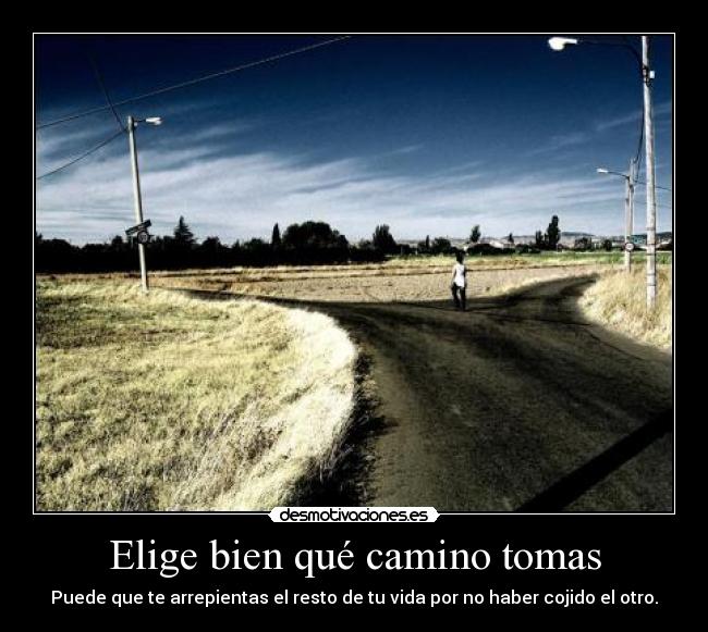 Elige bien qué camino tomas - 