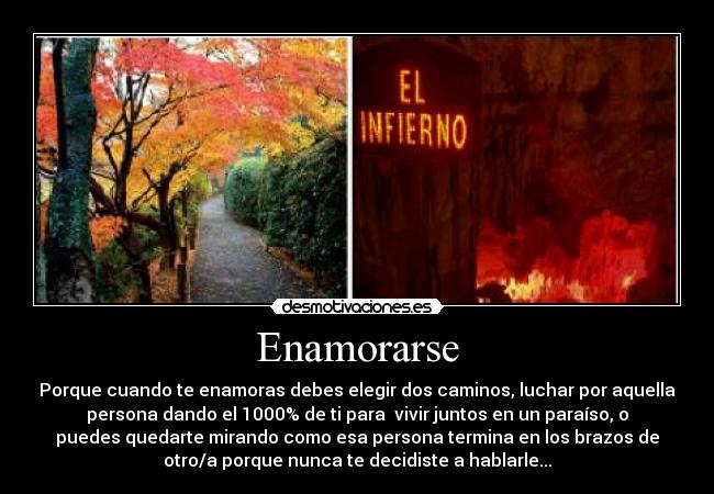 Enamorarse - Porque cuando te enamoras debes elegir dos caminos, luchar por aquella
persona dando el 1000% de ti para  vivir juntos en un paraíso, o
puedes quedarte mirando como esa persona termina en los brazos de
otro/a porque nunca te decidiste a hablarle...