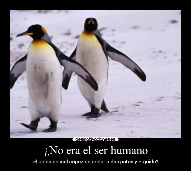 ¿No era el ser humano -