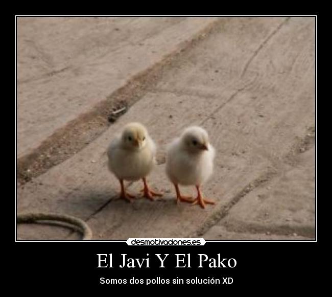 El Javi Y El Pako -
