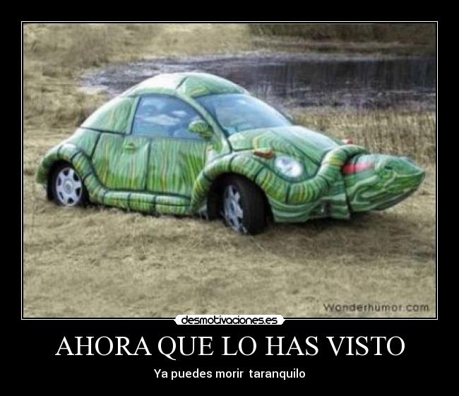 AHORA QUE LO HAS VISTO -