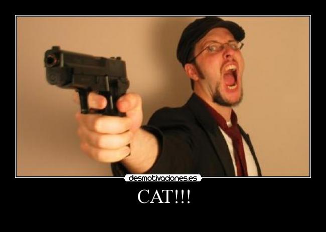 CAT!!! -
