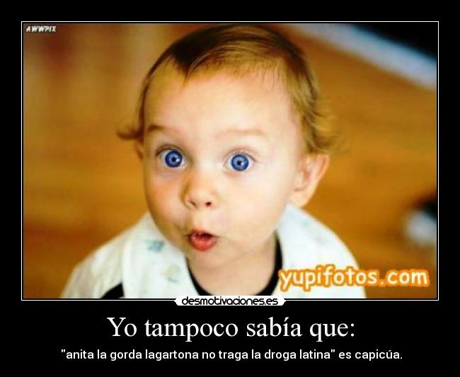 carteles tampoco sabia que anitalagordalagartonanotragaladrogalatina capicua desmotivaciones