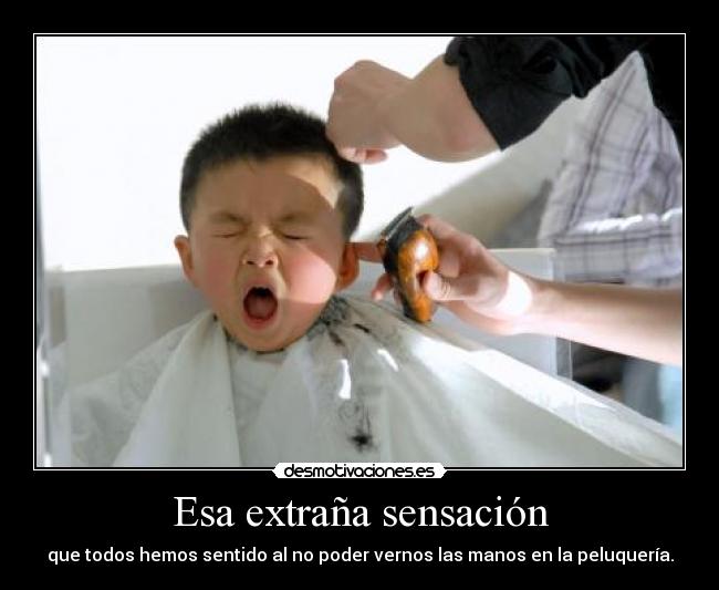 carteles guitarra gato animales chuck justin rusia ninos play sexo teta australia desmotivaciones