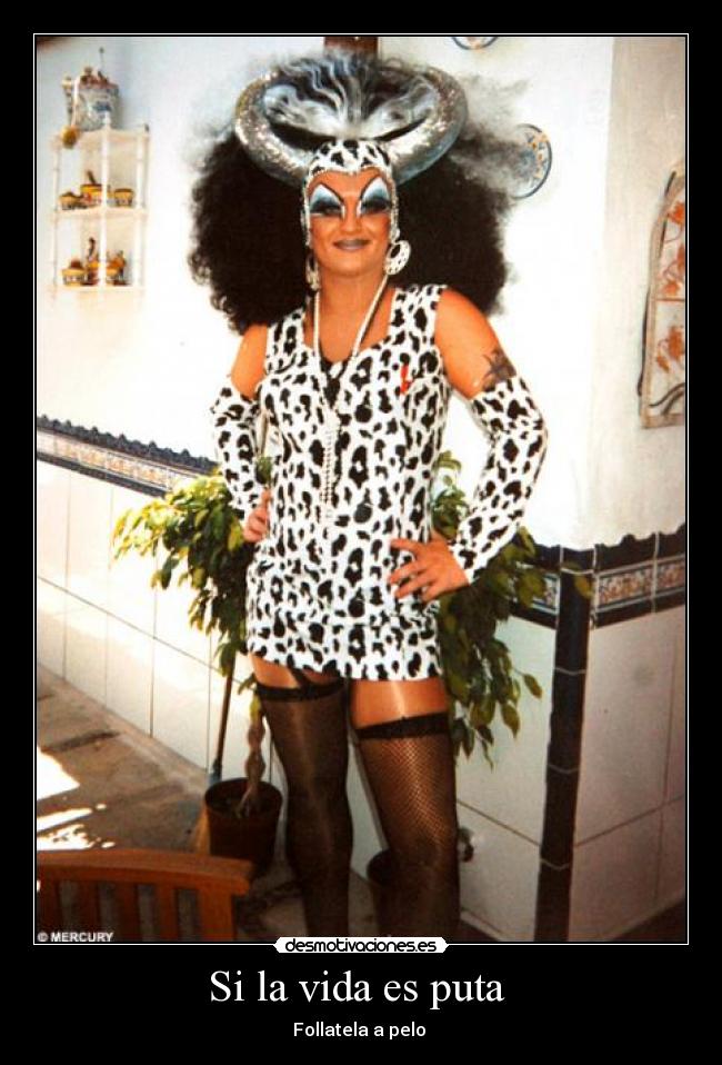 Si la vida es puta - Follatela a pelo