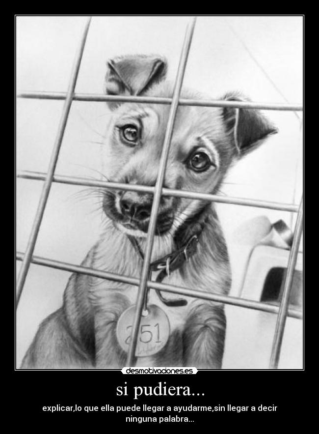 carteles poderexplicarllegarayudardecirpalabra desmotivaciones