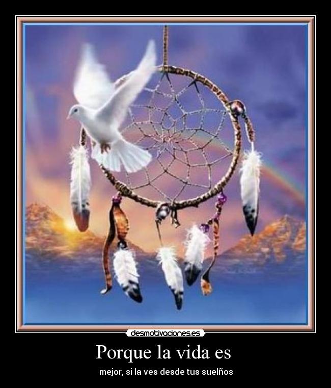 Porque la vida es  - 