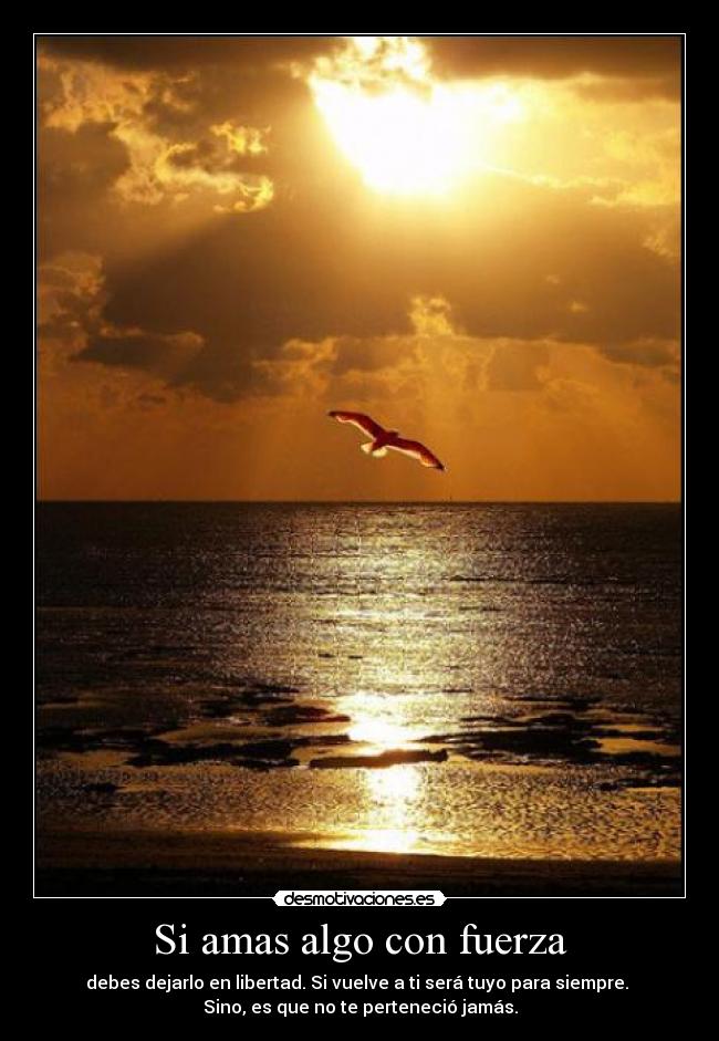 carteles amas desmotivaciones