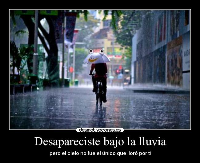 Desapareciste bajo la lluvia - pero el cielo no fue el único que lloró por ti