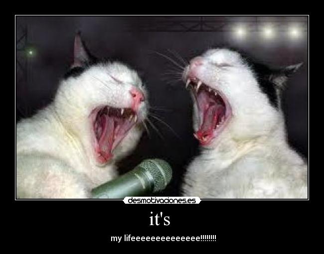 its - my lifeeeeeeeeeeeeee!!!!!!!!
