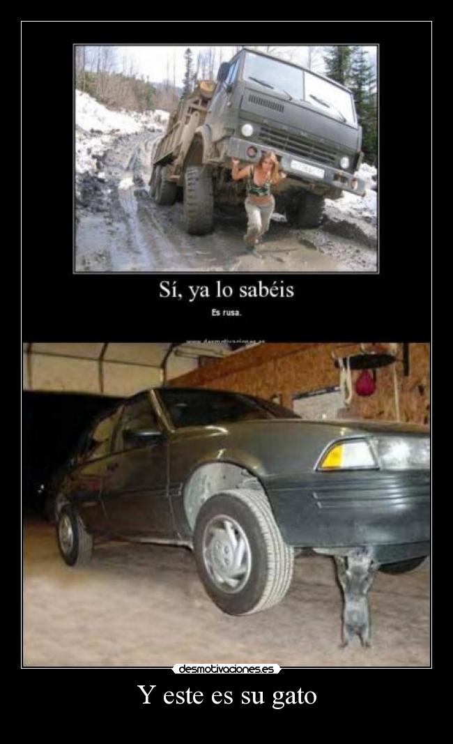 Y este es su gato - 