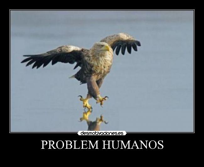 PROBLEM HUMANOS -