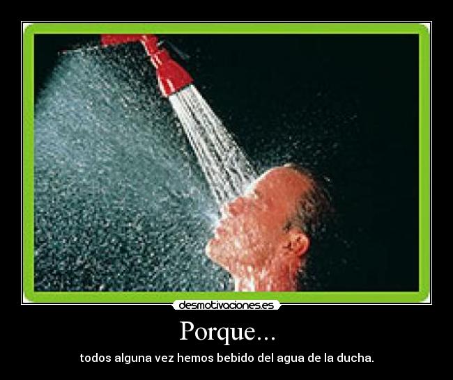 Porque... - todos alguna vez hemos bebido del agua de la ducha.