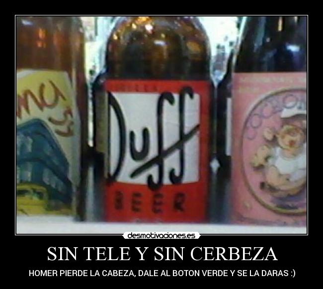 SIN TELE Y SIN CERBEZA -
