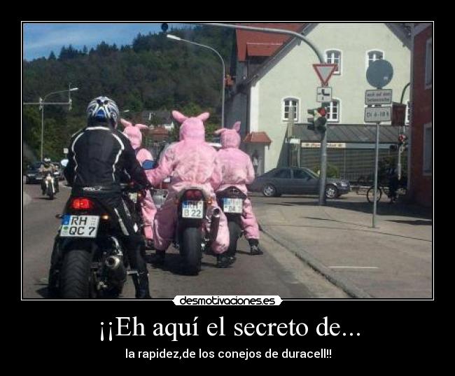 ¡¡Eh aquí el secreto de... - la rapidez,de los conejos de duracell!!