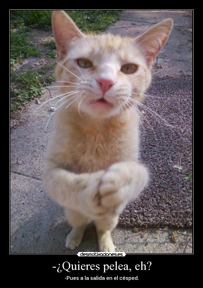-¿Quieres pelea, eh? - -Pues a la salida en el césped.