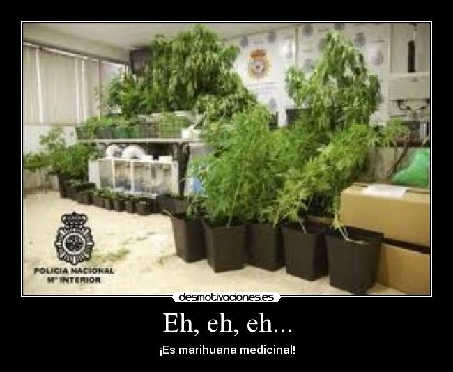 Eh, eh, eh... - ¡Es marihuana medicinal!