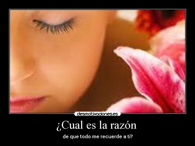 ¿Cual es la razón -