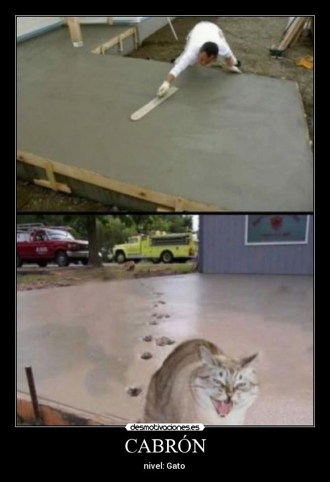 CABRÓN - nivel: Gato