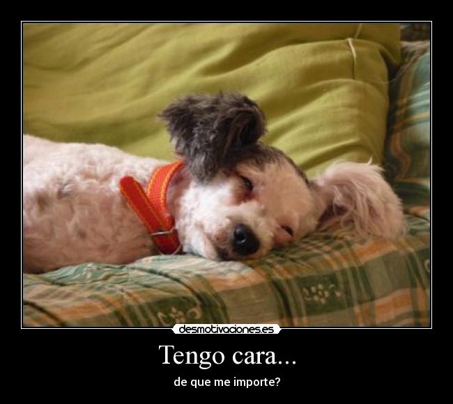 Tengo cara... - de que me importe?