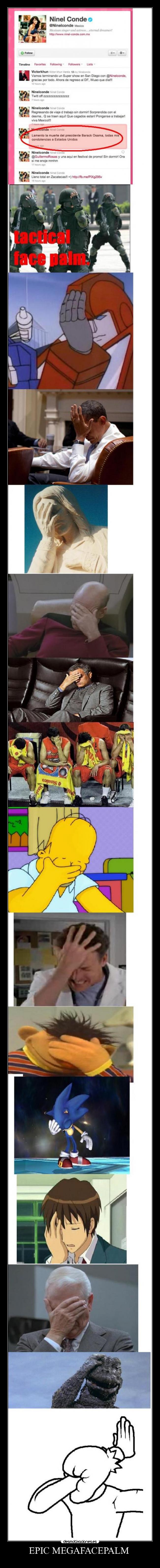 EPIC MEGAFACEPALM  - 