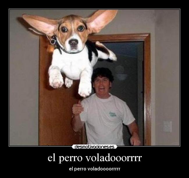 el perro voladooorrrr - el perro voladoooorrrrr