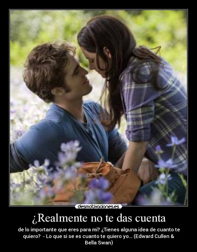 ¿Realmente no te das cuenta - de lo importante que eres para mi? ¿Tienes alguna idea de cuanto te
quiero?  - Lo que si se es cuanto te quiero yo... (Edward Cullen &
Bella Swan)