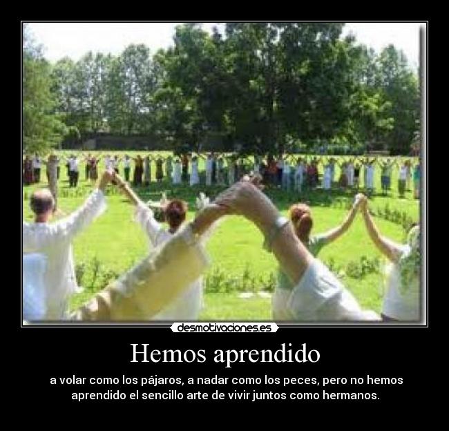 Hemos aprendido -