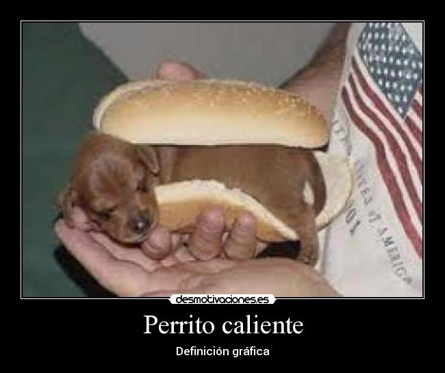 Perrito caliente - Definición gráfica