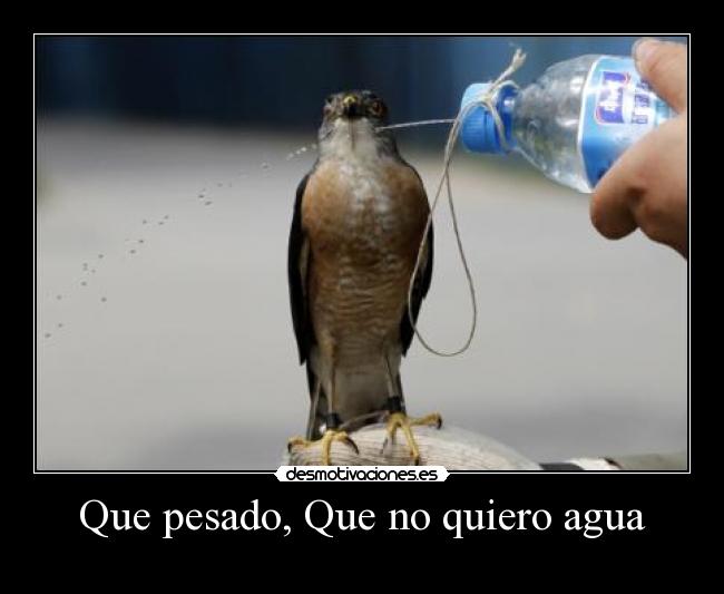 carteles alex skater desmotivaciones