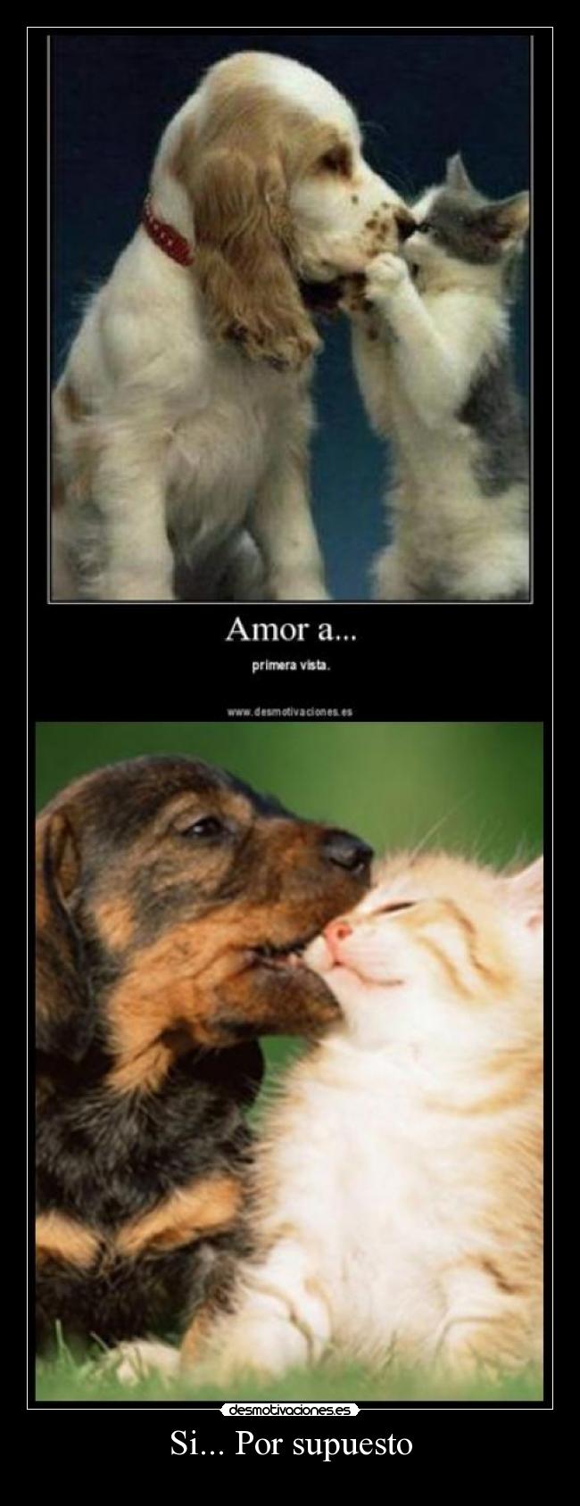 Si... Por supuesto -