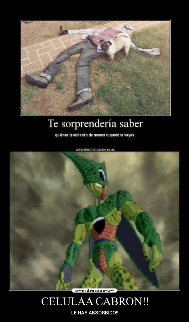 carteles dragon ball desmotivaciones