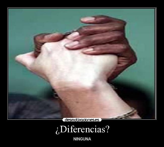 ¿Diferencias? - NINGUNA
