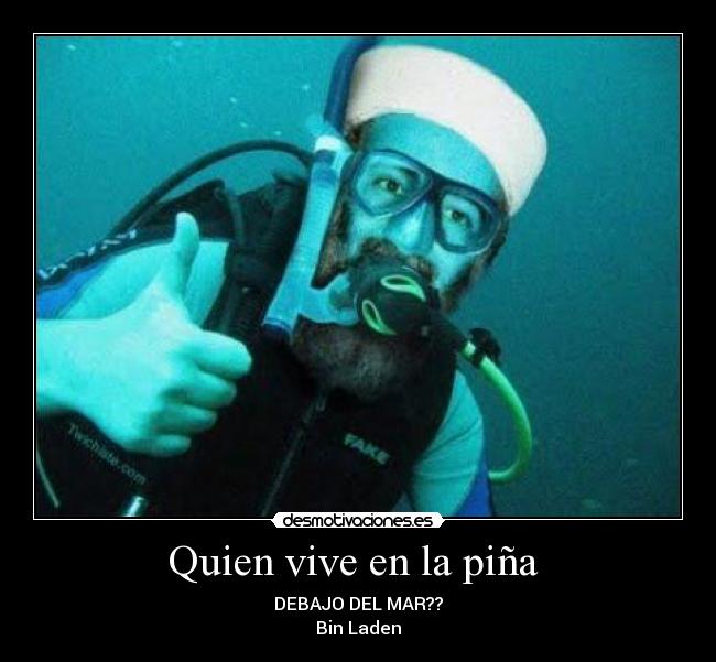 carteles marisunshine desmotivaciones