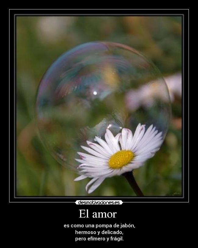 El amor  - 