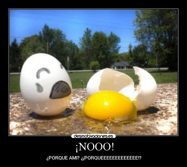 ¡NOOO! - ¿PORQUE AMI? ¿¡PORQUEEEEEEEEEEEEE!?